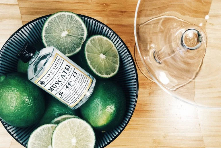 Margatini – Gin Margarita