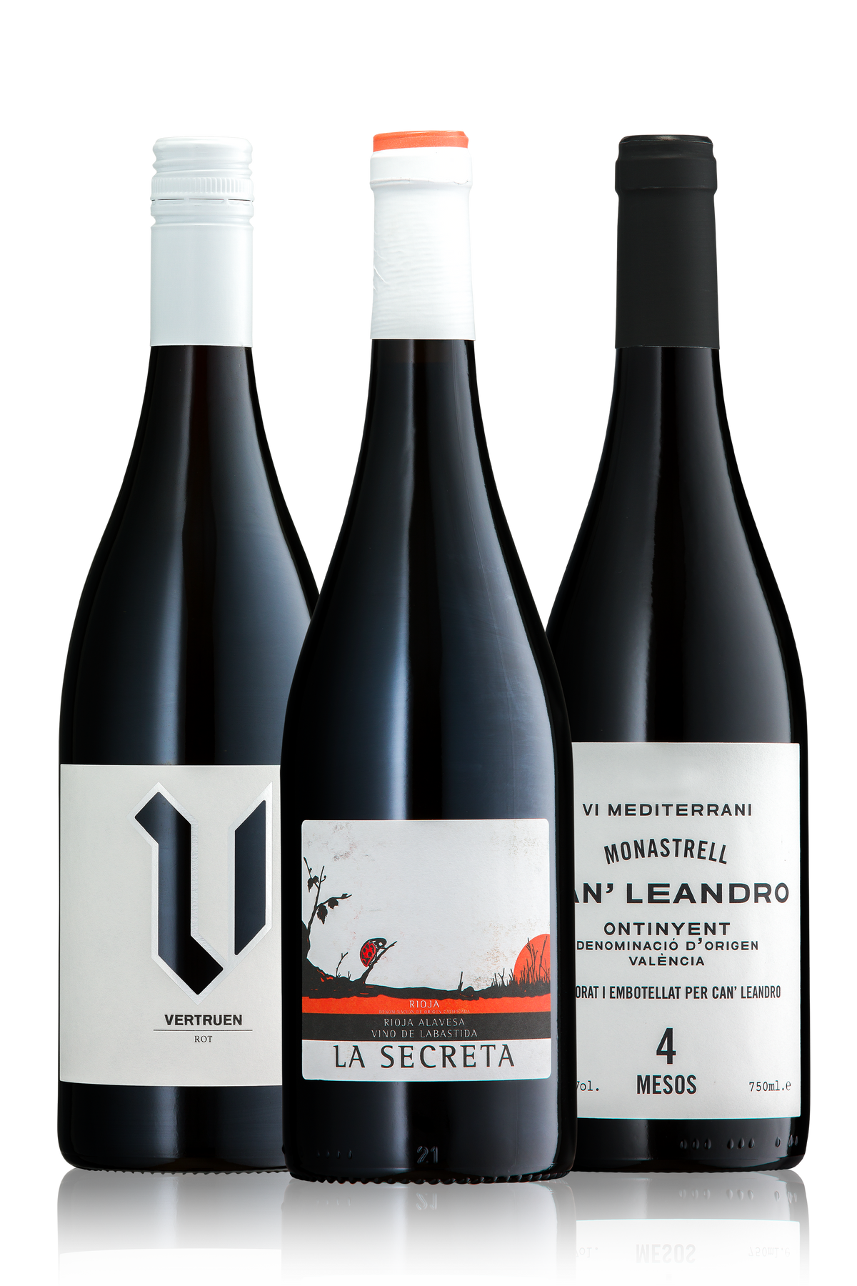 Winecation: Spanien