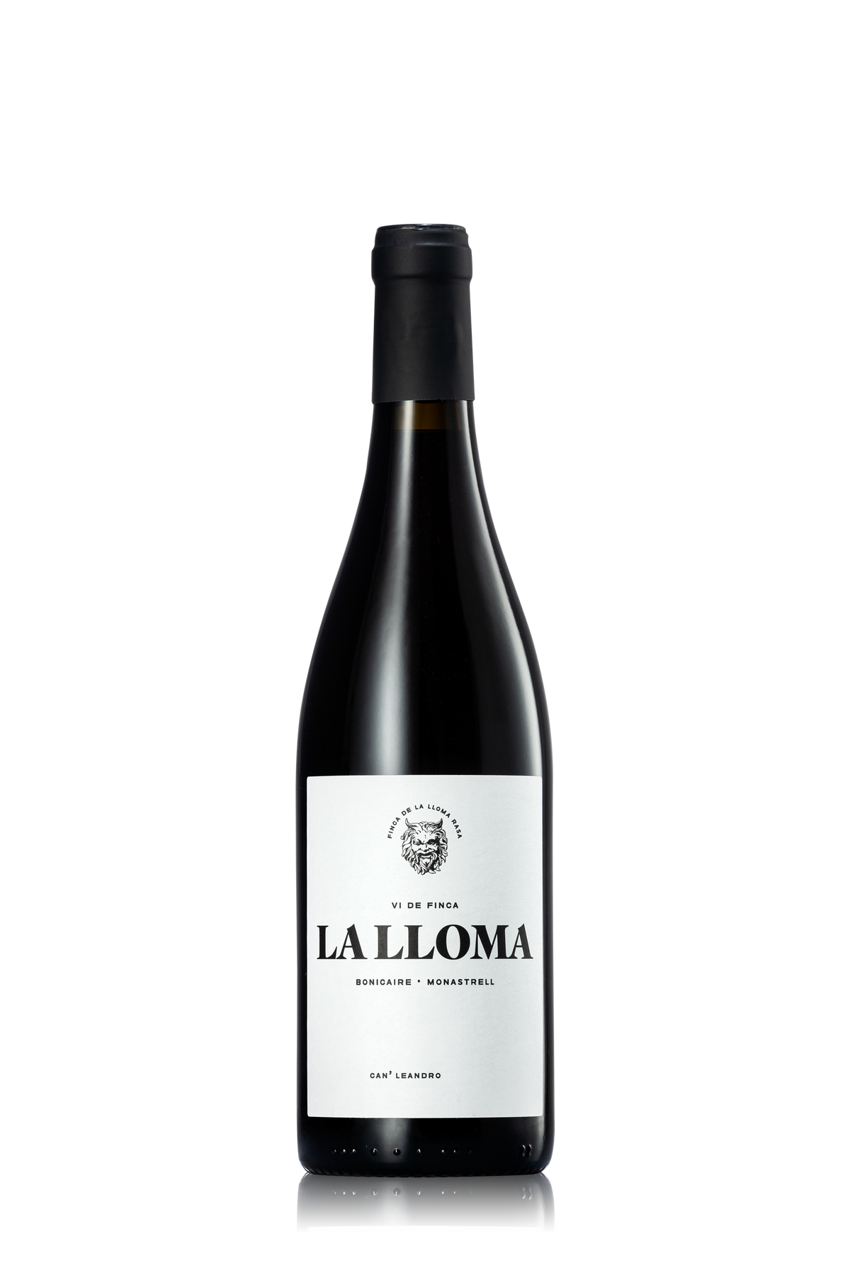 Weingut-CanLeandro_Lalloma_geileweine_2000x3000_web