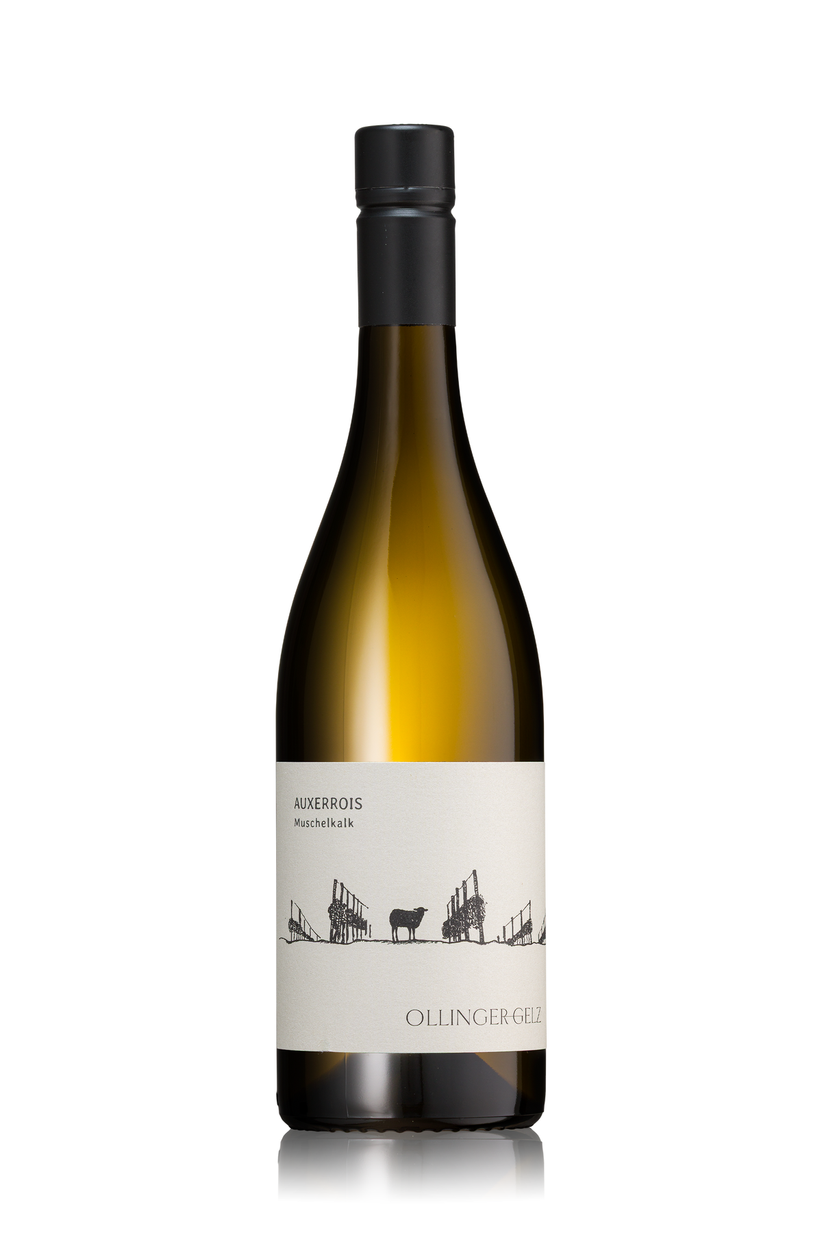 Auxerrois Muschelkalk (BIO)