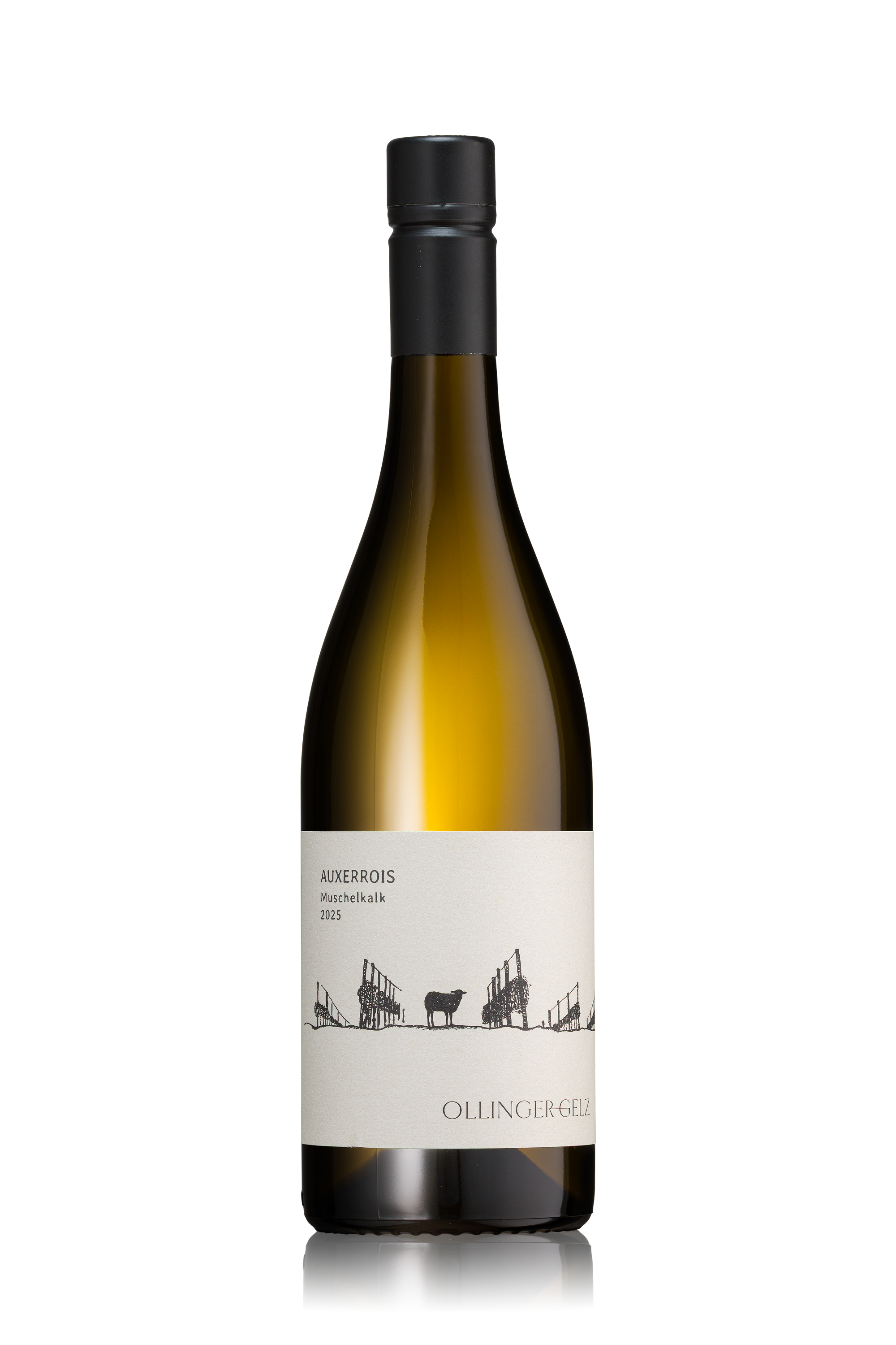 Auxerrois Muschelkalk (BIO)