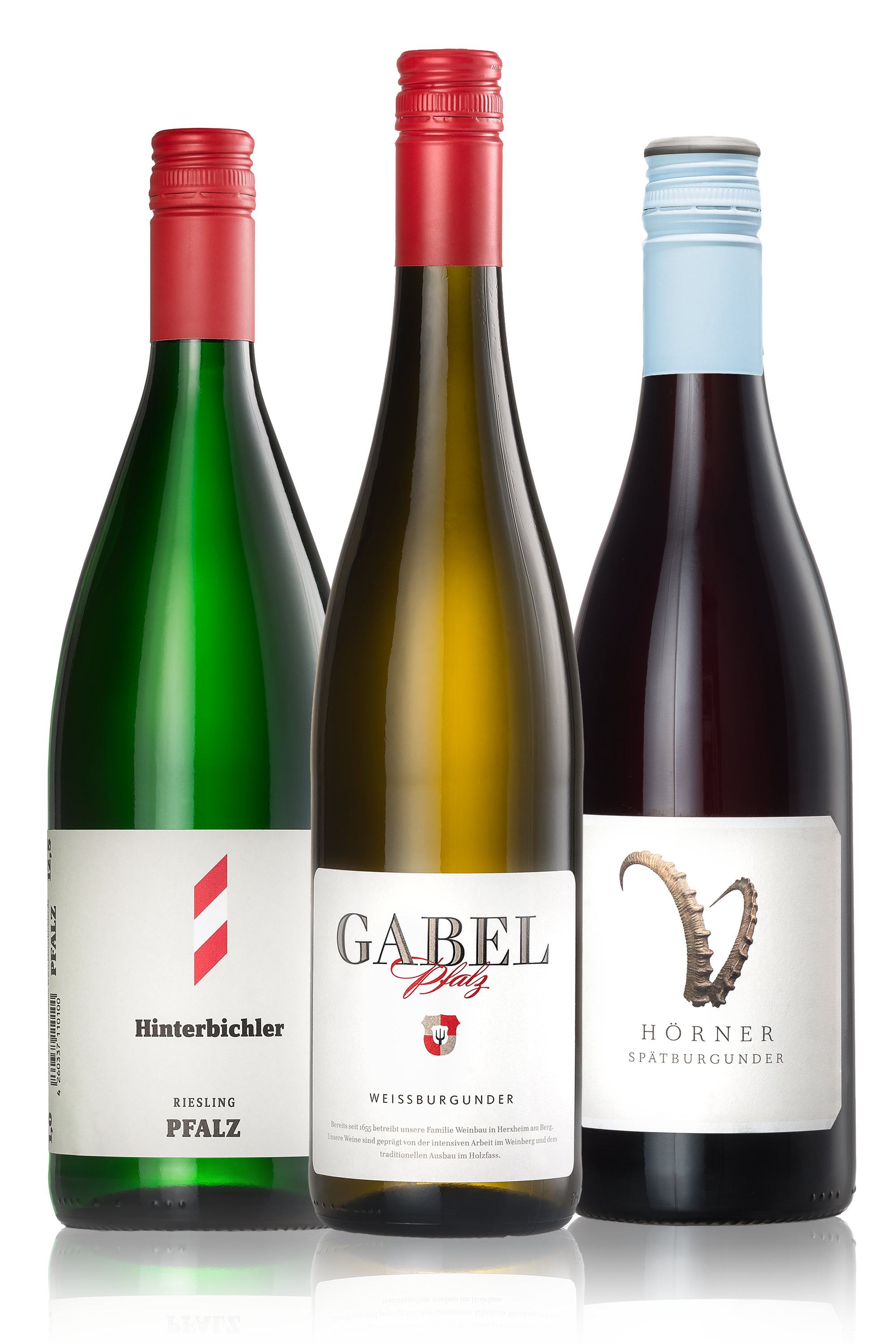 Winecation: Pfalz