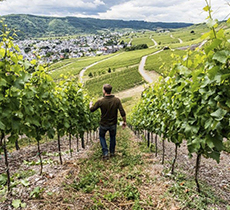 Markus_H-hls_Foto