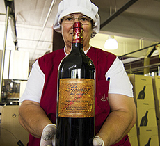 Vidigal_Wines_Foto