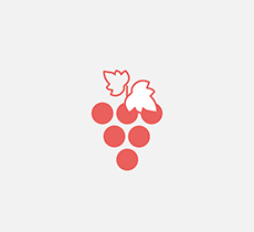 Weinwissen_Rebsorten_Icon