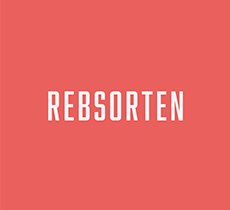 Weinwissen_Rebsorten_Schrift