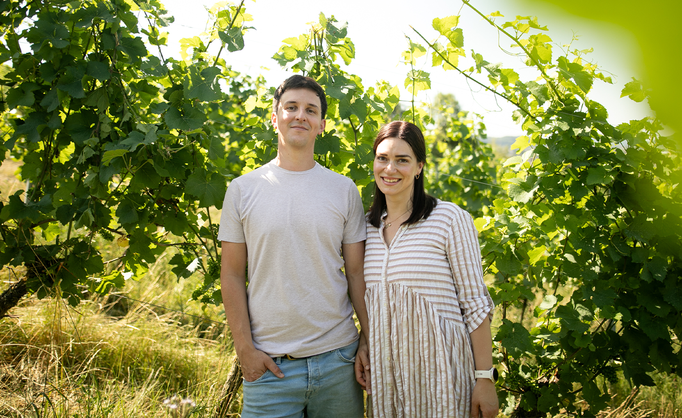 Weingut Ollinger-Gelz